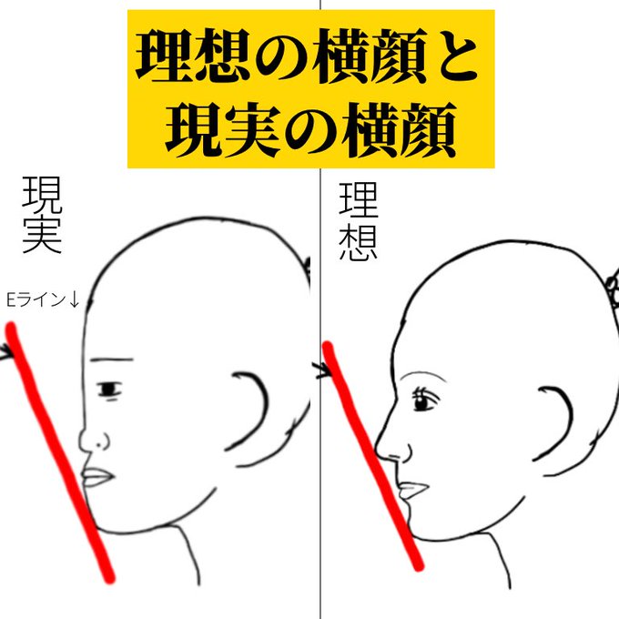 理想の横顔と現実の横顔 