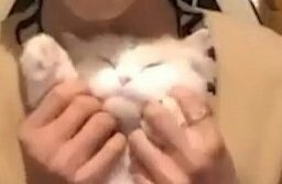 angelicmarkbam's tweet photo. I KNEW IT WAS SO FAMILIAR HSHSHSHSHS https://t.co/TEJhkIFdfm