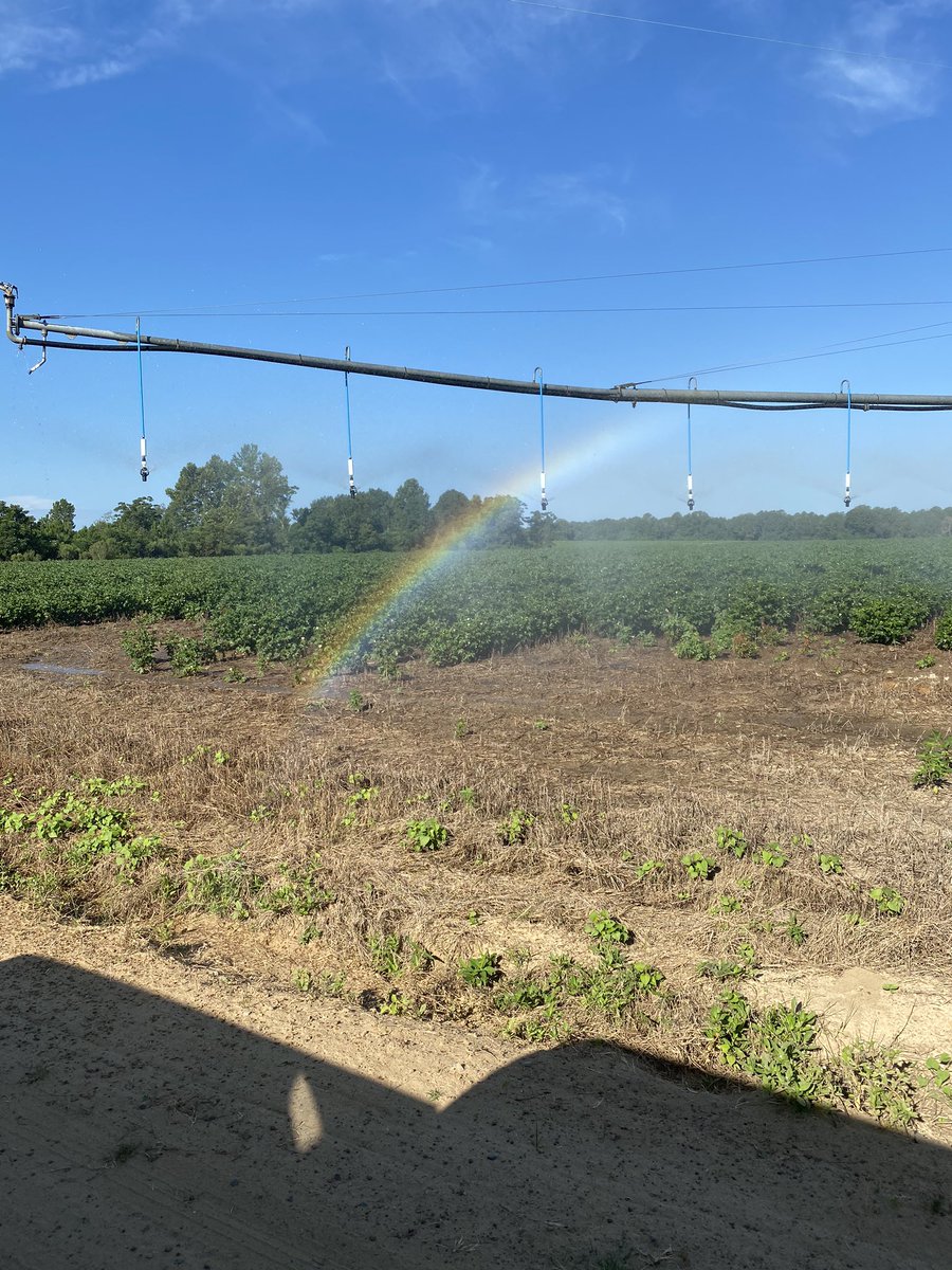 Clay Pirkle tweet media