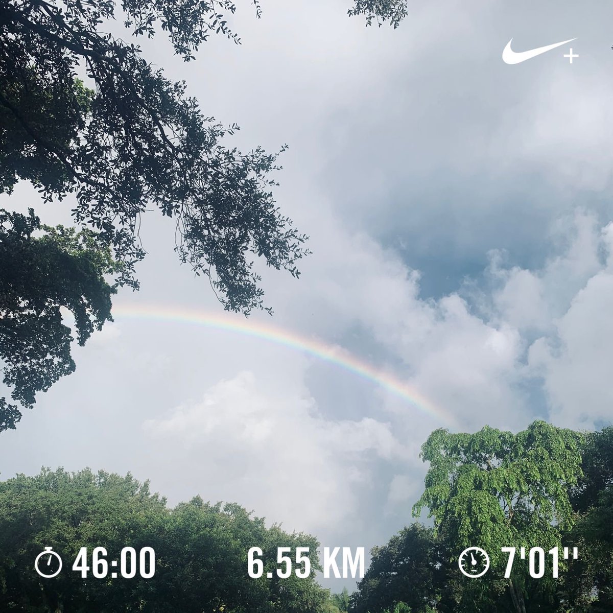 rodrigogp's tweet photo. Ran 6.55 kilometers with @Nike Run Club after 15 miserable min of running in the rain, nature gives you surprises!! 🌈
#Asics #florida #miami #coralterrace #coralgables #running #run #runner #runrunrun #rainyrun #rainbowrun #mondaymotivation #runRodRun #quarantinerun https://t.co/HedFeMXS3j