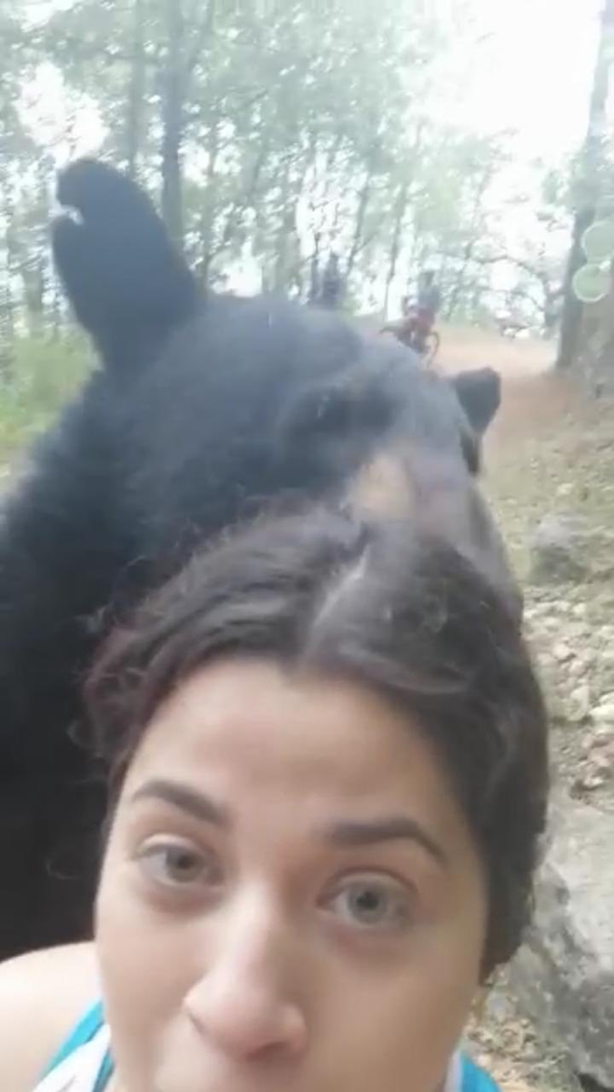 criswinter412's tweet photo. If you haven't seen the video of the bear wanting to befriend a human being...WATCH IT! The gal who he was getting chummy with had the notion to pull our her phone! She ๐๐ป Took ๐๐ป A ๐๐ป Selfie! Nerves of steel! #bear #gettingfriendly #selfie #wow https://t.co/DXeXauxmeD