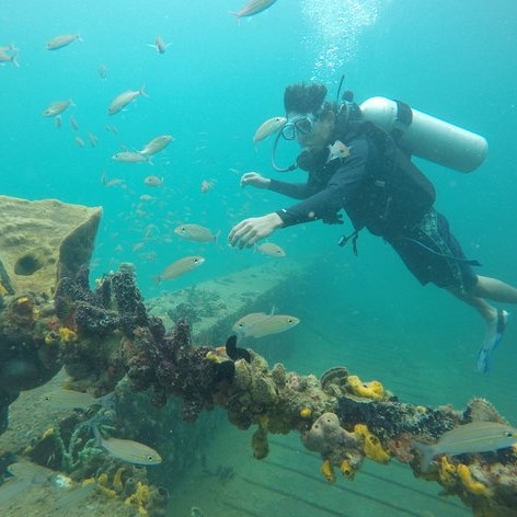 With 100 new skills to be learned on a Winterline gap year, there's something that appeals to everyone, from scuba diving, to circus school, to BMW driving. What skill are you most excited about?