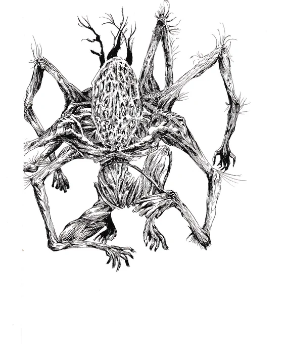 啓蒙が足りないのでブラッドボーンの画集をスケッチしたよ、アメンドーズくんです

#ペン画
#アナログ 