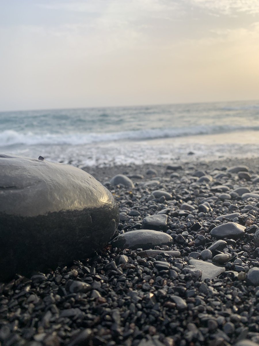 fernaandogaroz's tweet photo. 🌵 🌊 https://t.co/vBeIb0hLa2