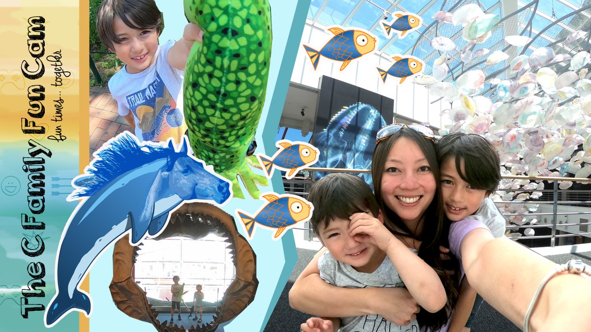 TheCFamFunCam's tweet photo. National Aquarium Baltimore Maryland! 
#Sharkalley, #touchinghorseshoecrabs, #touchingjellyfish, rainforest, watching a #4Dtheater movie, eating lunch w/ a water view, and more! 
#nationalaquarium #baltimoremd #travelvlog #rainforest #sharks #dolphins #touchtank #thecfamilyfuncam https://t.co/pUWlkp4NKF