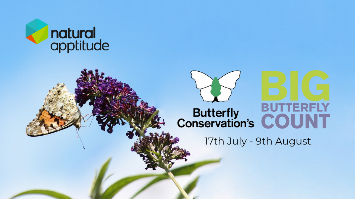 The BIG #ButterflyCount is our latest project with <a href="/savebutterflies/">Butterfly Conservation 🦋</a>. It runs until the 9th Aug and every record counts (even when you don’t spot any #butterflies). Help them make it the best year ever by spending 15 relaxing mins counting butterflies.