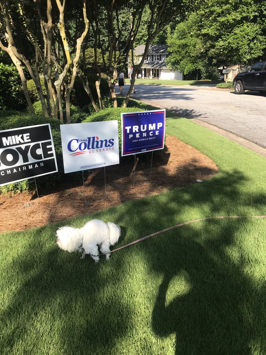jabes29's tweet photo. My dog knows what to do! #smartpuppy #leaveadumpforTrump https://t.co/oFFBCukqJe