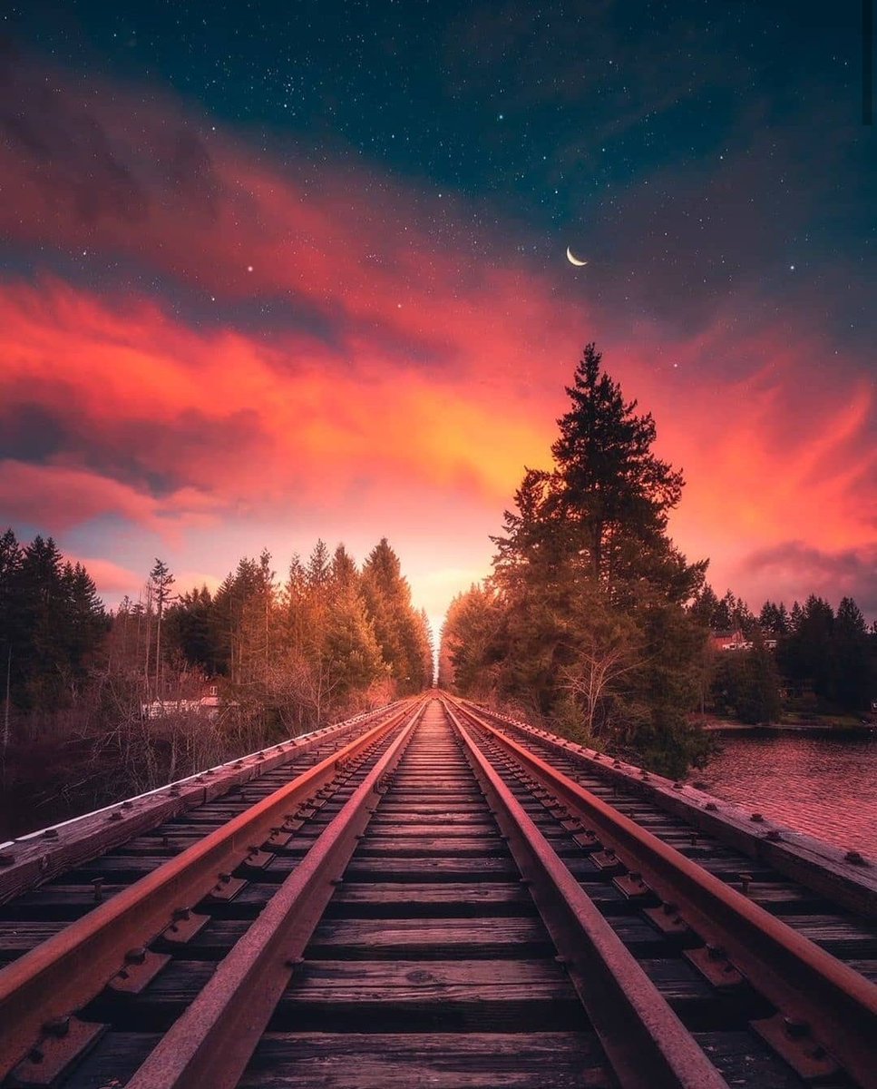 deepsoulnature's tweet photo. https://t.co/eCnQEehSZx