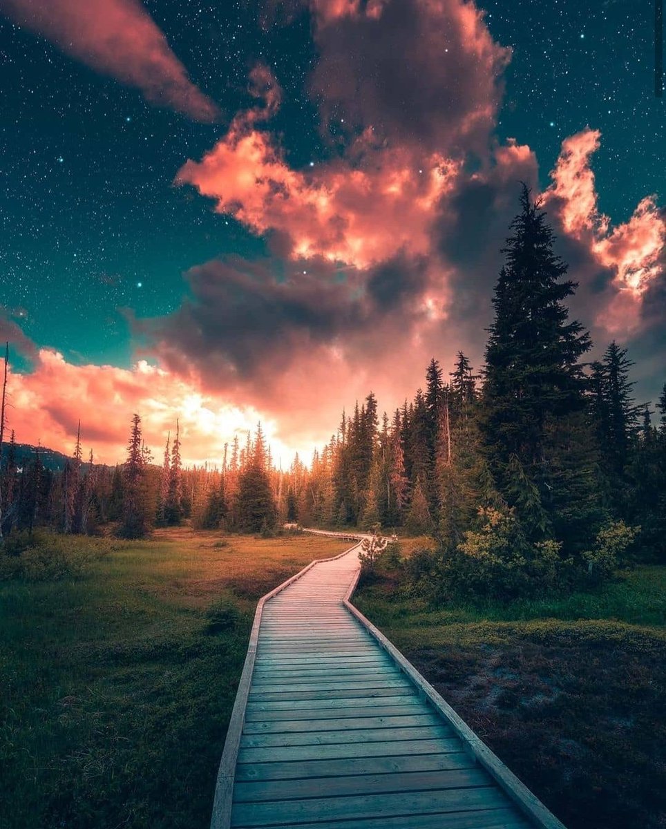 deepsoulnature's tweet photo. https://t.co/eCnQEehSZx