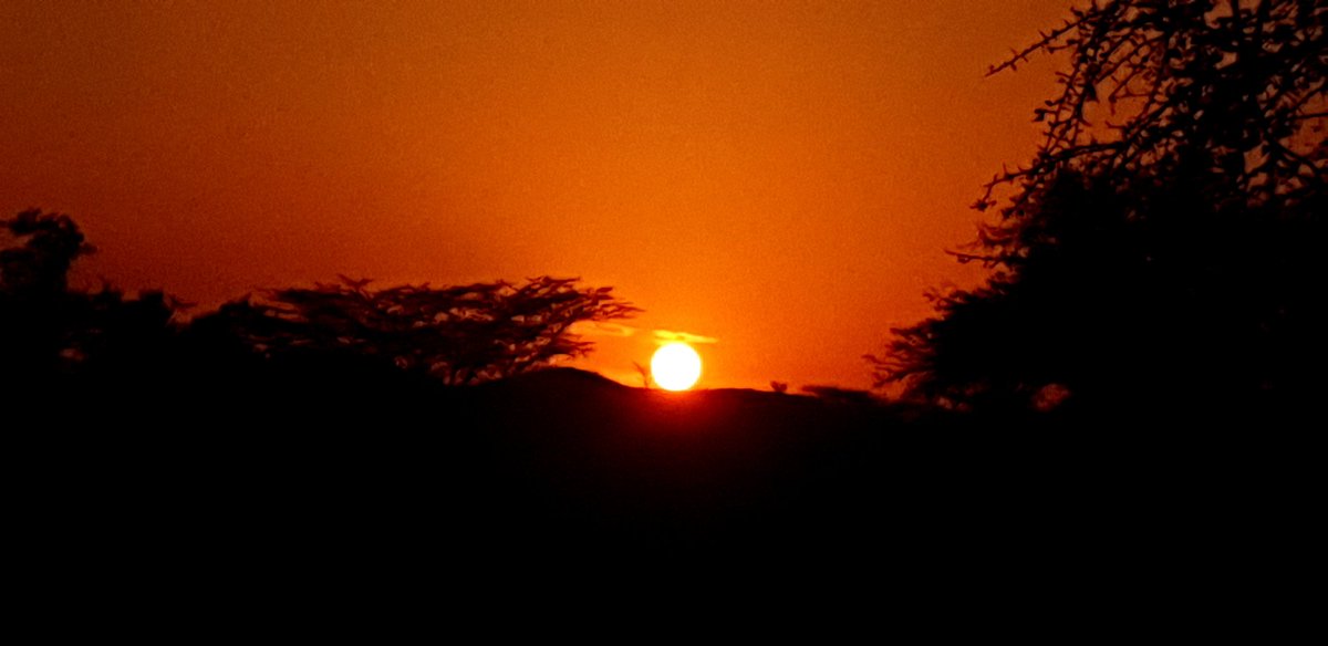 The sunset was too beautiful, it was worth getting to Eliye Springs late. Which of course means there was a bit of getting lost and ending up in Acacia Camp instead of Eliye Springs Resort. Tempted to camp there but they have no facilities like a kitchen space for self-catering