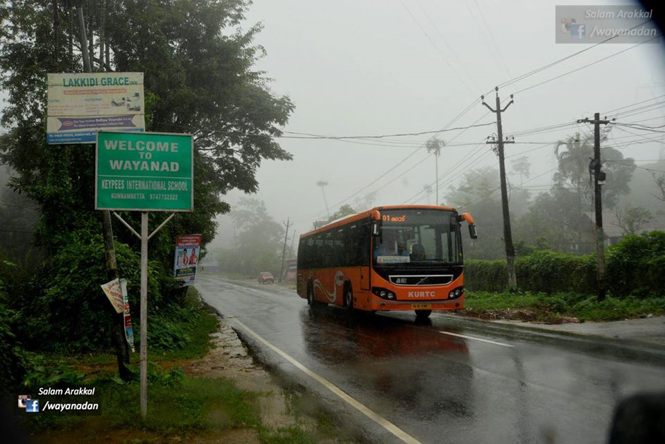 Wayanadu mansoon & Edakkal caves