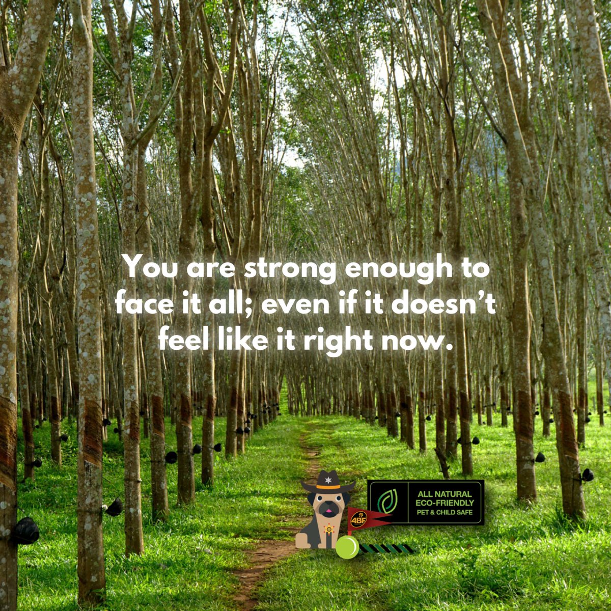 4Bfusa's tweet photo. You are stronger than you think, furiend!  You can do this!

What’s motivating you today?

https://t.co/kcpmkeaBlq https://t.co/nA3Nh5J730