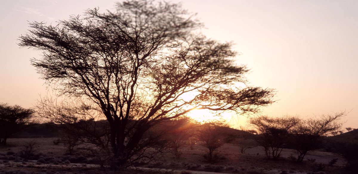 The sunset was too beautiful, it was worth getting to Eliye Springs late. Which of course means there was a bit of getting lost and ending up in Acacia Camp instead of Eliye Springs Resort. Tempted to camp there but they have no facilities like a kitchen space for self-catering