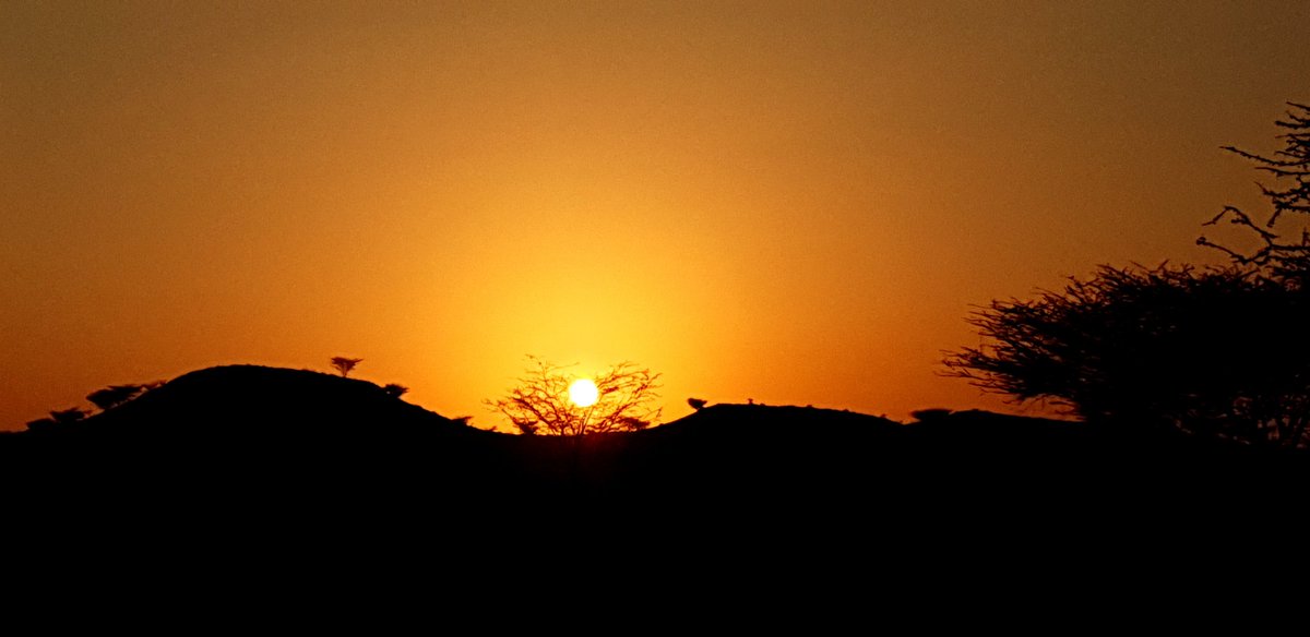 The sunset was too beautiful, it was worth getting to Eliye Springs late. Which of course means there was a bit of getting lost and ending up in Acacia Camp instead of Eliye Springs Resort. Tempted to camp there but they have no facilities like a kitchen space for self-catering