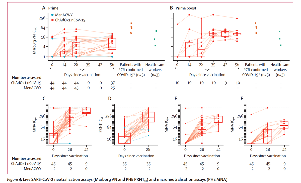 Just published  @TheLancet is the Oxford Phase 1  #SARSCoV2 vaccine trial with very encouraging safety data, neutralizing antibody and spike protein specific T cell response https://www.thelancet.com/lancet/article/s0140-6736(20)31604-4