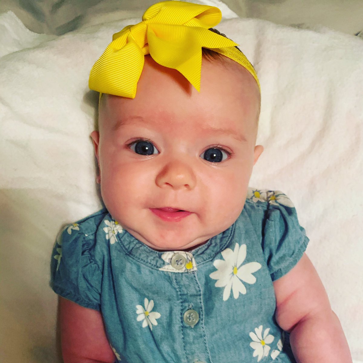 MrsSwift_SMSD's tweet photo. Wish me luck, I start daycare today! Also, throw some positive vibes out for my Mommy and Daddy. They are more nervous than I am...rookies!  🖍📚🍎                               #sweetLandrygirl #swiftswiftbaby https://t.co/iJNKmz3Jm6