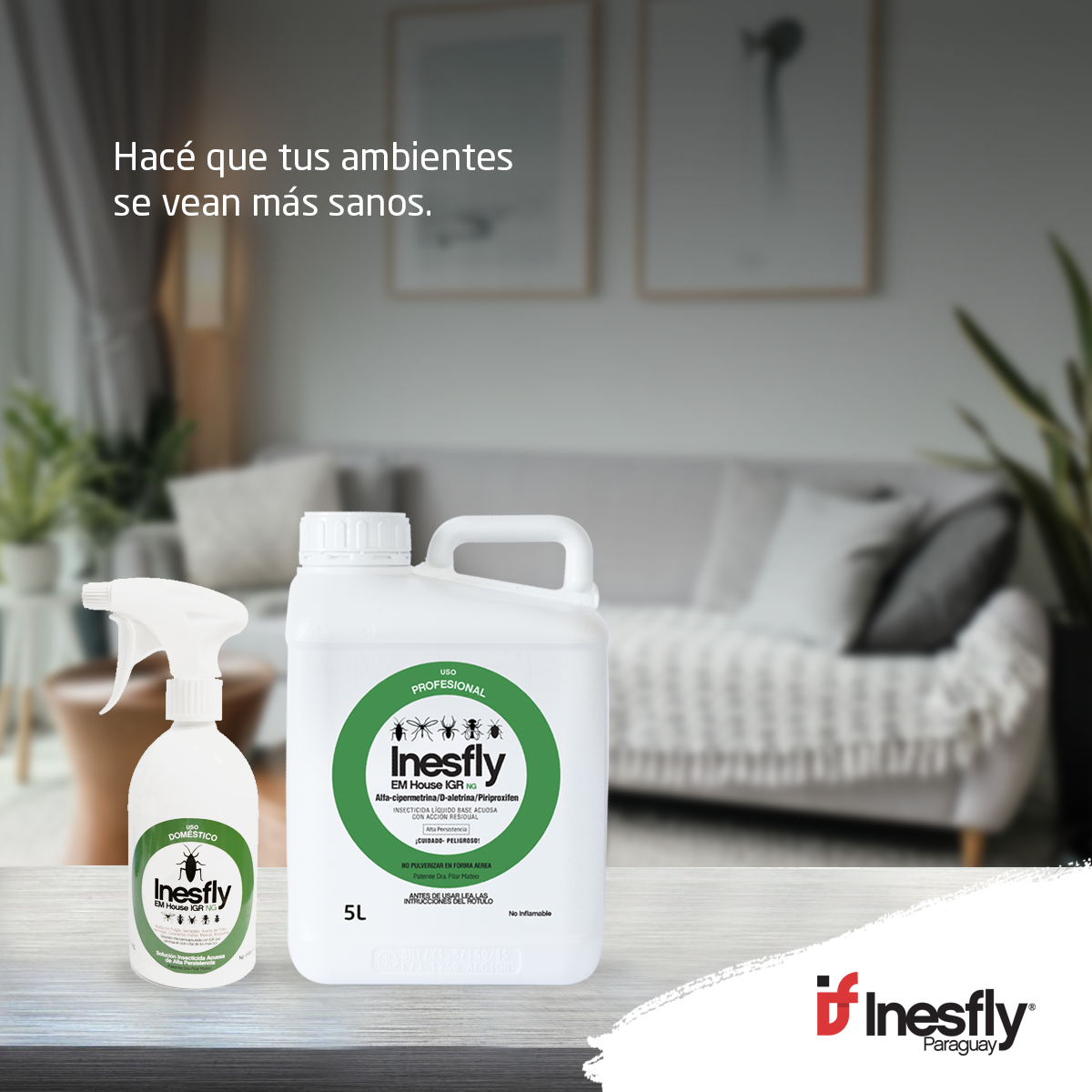 inesflypy's tweet photo. Hoy estamos todos en casa. Protegete comprando el Inesfly EM House y eliminá todos los insectos de tus ambientes 👉 https://t.co/exGq7KWNgC

Para más información, comunicate al 📞 0972 377 462

#Inesfly #Insecticida #ControlDePlagas https://t.co/tYExXBqM9m