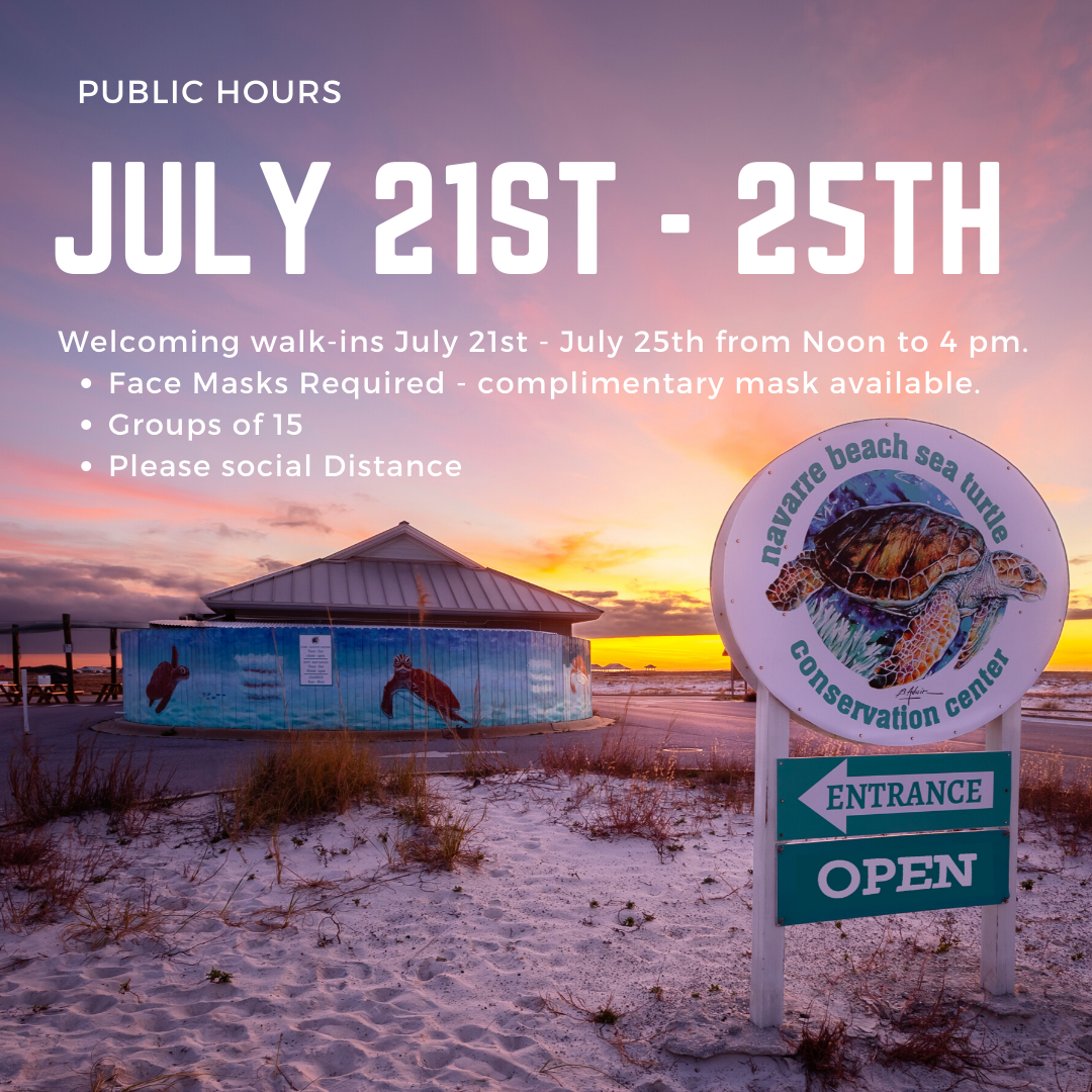 NBSTCC's tweet photo. There's still time to sign up for a 90 minute Guided Tour on Wednesday July 22nd or Thursday July 23rd. Tours start at 10 am sign up here -  https://t.co/wTRQwRTXHf

Walk-ins, at a reduced capacity, are welcome Tuesday through Saturday, Noon to 4 pm. https://t.co/lbsCBORikX