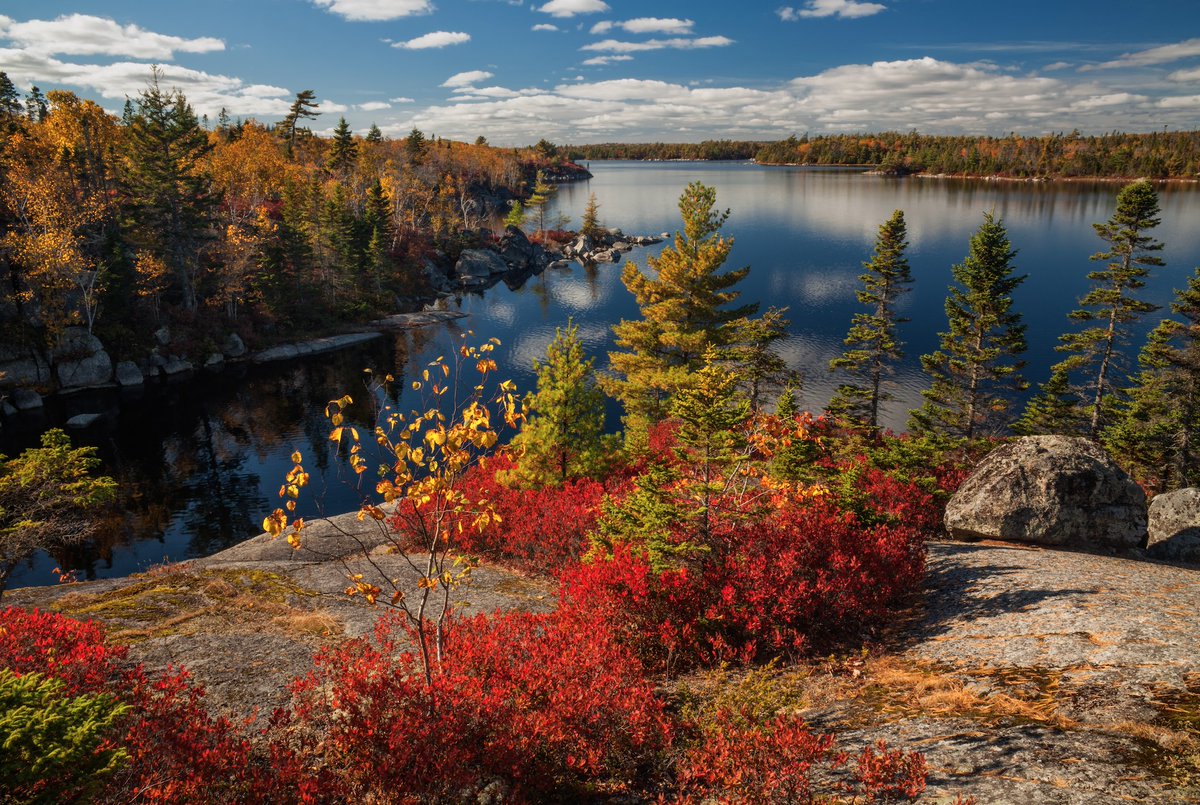 I know that the City Councillors are supportive of protecting Birch Cove Lakes. I've spoken with many of them. And, in the past, when push-came-to-shove to protect the park, they were there. Often voting unanimously to purchase lands or to stop a threat.