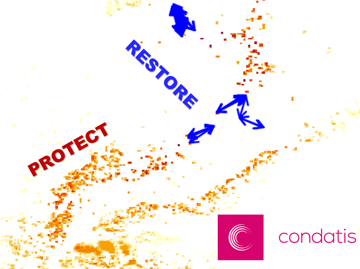 condatisKE's tweet photo. We're hiring a PDRA to develop a new toolbox for conservation planning in a dynamic world https://t.co/u2KtRL3CcX https://t.co/eFMEQSkbBx