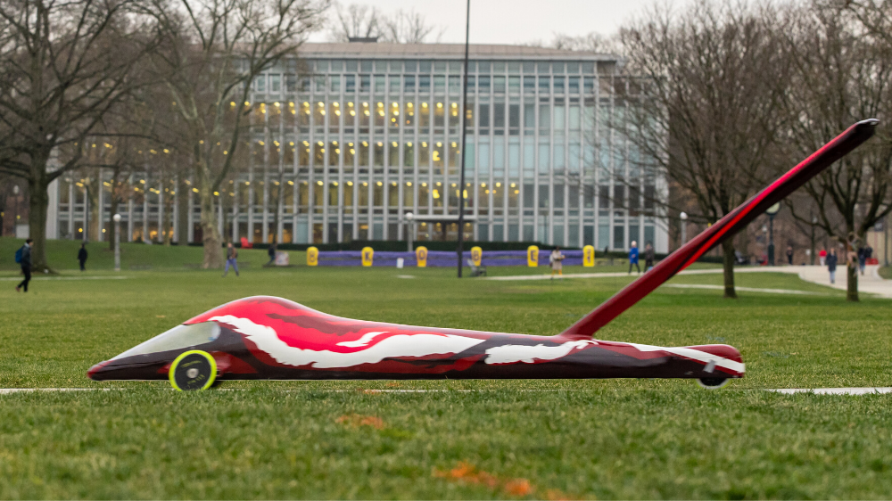 What is this? Wrong answers only.