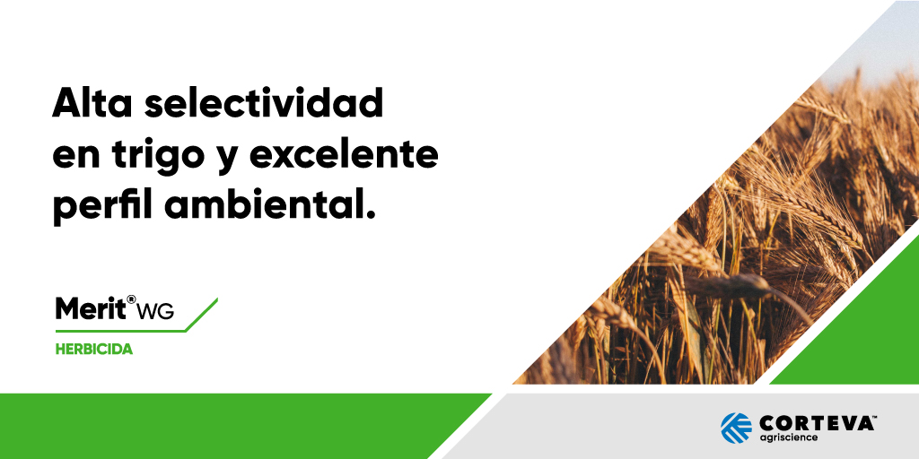 CortevaARG's tweet photo. Control sustentable y eficaz en todas las variedades de trigo y triticale. Su alta efectividad en dosis reducidas permite una manipulación más simple gracias a una menor generación de envases desechables, cuidando a tu cultivo y al medio ambiente. #MeritWG https://t.co/l15HnucRUL