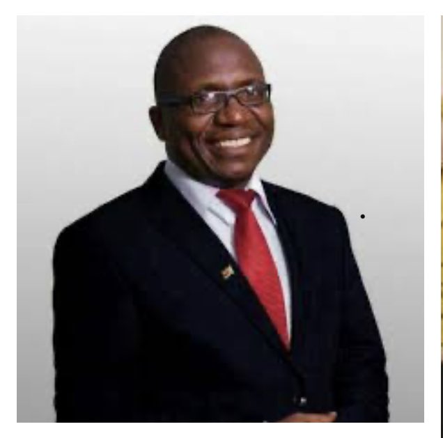 YOU can not say #FreeHopwell without saying #FreeNgarivhume UNITED WE STAND &amp; DIVIDED WE FALL #31July2020 is a necessity, Zimbabwe 🇿🇼 MUST BE FREE!