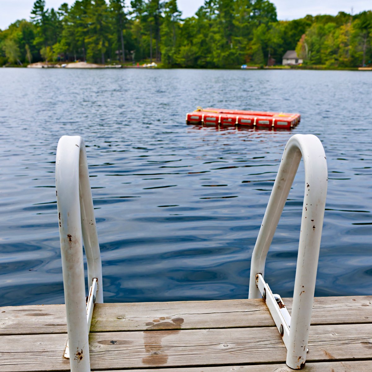 StemulusH's tweet image. Visiting a lake or river this summer? The CDC has some guidelines that can help keep you and your family safe. 

cdc.gov/healthywater/s…