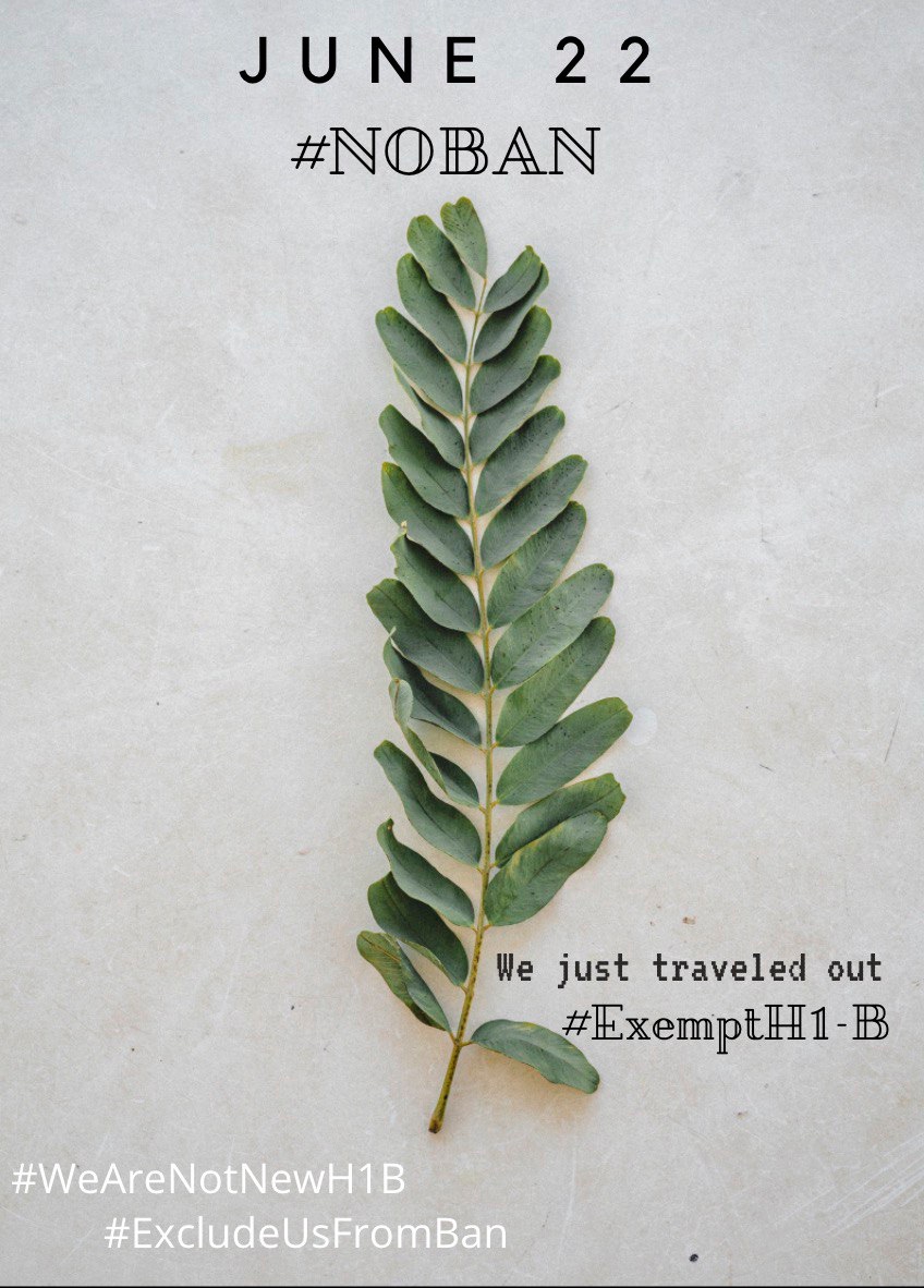 SmRavinder's tweet photo. Cause: #Jun22Proclamation
Solution:#ExcludeUsFromBan 
Why: #WeAreNotNewH1B
          #WeAreNotNewL1
Please exempt nonimmigrants who traveled out of the country for family emergencies and can't return bcz of ban.we already have job
@TravelGov @StateDept @SecPompeo @TheJusticeDept https://t.co/5haLKrCuCE