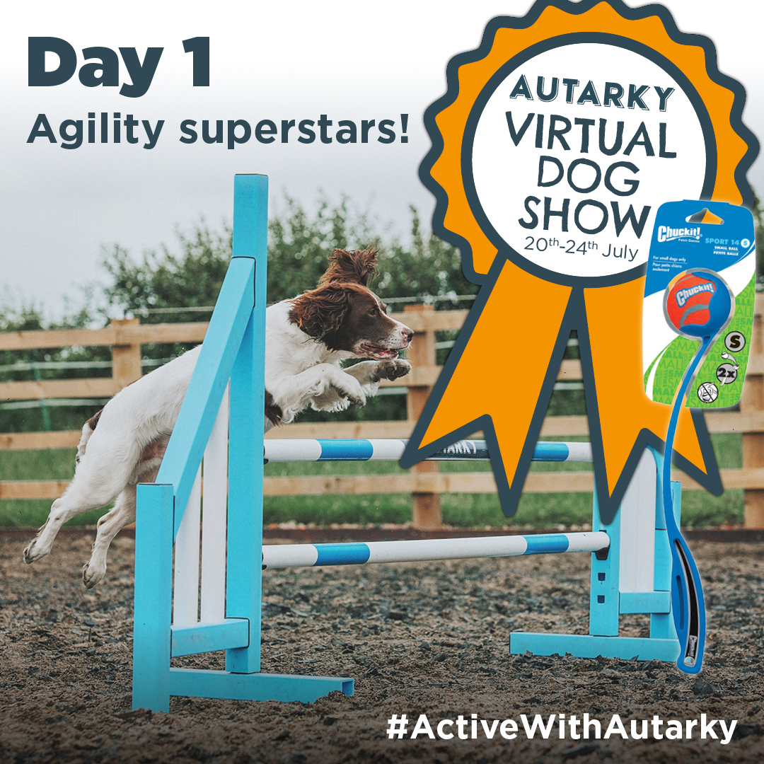 AutarkyDog's tweet photo. It's DAY ONE of the #ActiveWithAutarky Virtual Dog Show!
For your chance to #WIN a @ChuckitUK Launcher, plus a 2kg bag of Autarky dog food, we'd love to see your agility dogs! ๐ https://t.co/BGHZwOQvw4
T&Cs apply: https://t.co/1ZLvEmkiru https://t.co/sKBfKnwRvT