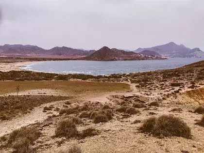 También en zonas del litoral español sufrimos estos atentados medio ambientales.

Verdad? <a href="/tenerifexclima/">Juventud por el Clima Tenerife</a> <a href="/FFFGranada/">FridaysForFutureGRANADA</a>