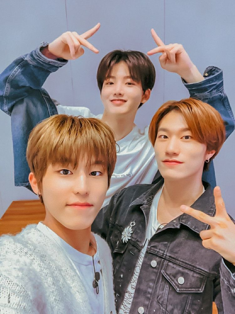 Treasure has lots of Vocalist but here's the vocal trinity.Angelic Voice YedamUnique Voice JunkyuSoulful Voice Jeongwoo