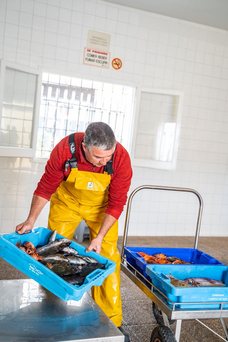 peixnostrum's tweet photo. Pescado de nuestra costa recién llegado a la cofradía de Sant Antoni 🐟 https://t.co/pKrueWZFDY

 #PeixNostrum #GentedelMar #llaüt #pescatradicional  #pescadoderoca #productolocal #km0 #productodeproximidad #PescadodeIbiza #productodetemporada #pescasostenible #Ibiza #Eivissa https://t.co/NdTGNq8lBR