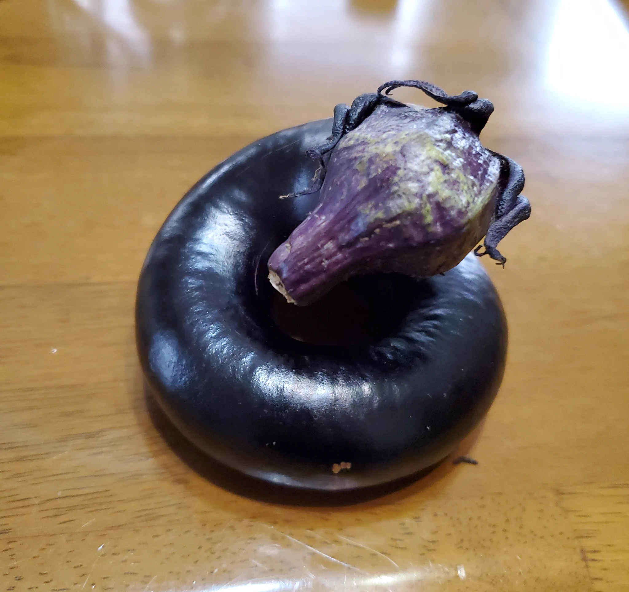 RPGに出てきそうwww近所の人から貰ったというナスがカッコよすぎるwww