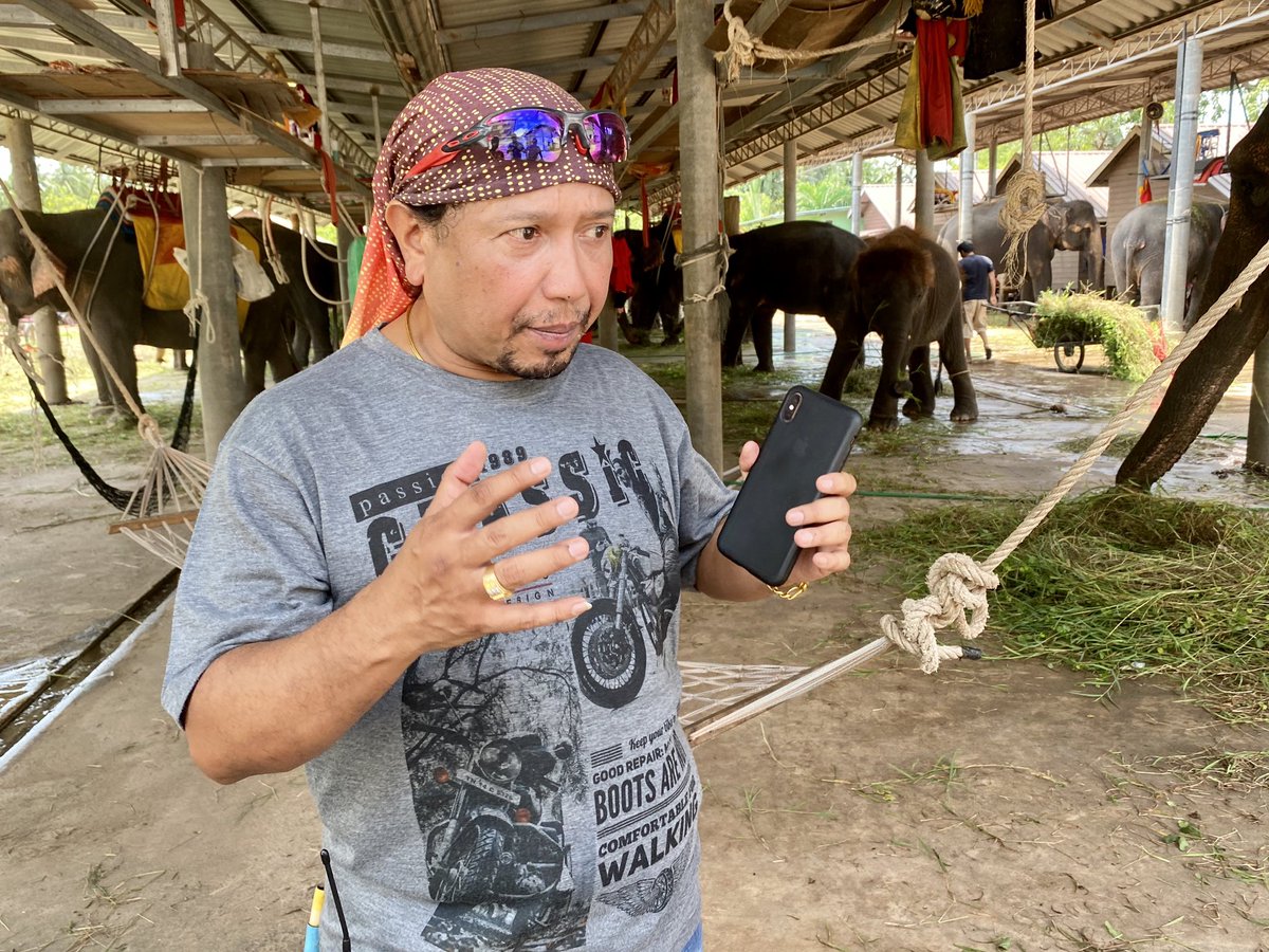 flo18flo's tweet photo. Many elephant camps in #Thailand are struggling to feed their animals as #coronavirus has brought int. #tourism to a halt. Without revenue this owner is forced to sell 7 elephants to @ElephantNatureP. New home is 800km away. Stay tuned as #GIreporter will go along for the rescue! https://t.co/1f6javquH7