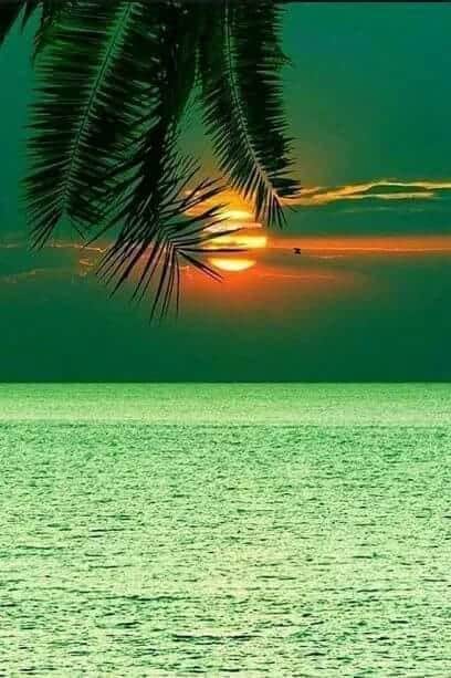 Josep. (@jopela2) on Twitter photo 2020-07-20 09:45:07 @renardmichelin3 @vascoromeo @nuriabenet77 @marialves53 @RocioBasterra @cmont4560 @ElybetCa @maje195839 @MOCarballeira @BB_Aesztia @maype7 @Rebeka80721106 @LordAnthony48 @AndreWisniewsk2 @AbaloRosa @MaraJosPrietoM1 @lepetitportcord @claudiaLeannan @agustin_gut @cristob45 @CerCero @Isabel27cg @FRISEEMYRIAM @Messe11 @carolinallobet1 @monicasloves @Miri_21 @mariajose8085 @jebl_ @MJosePrietoMar1 @399b89f7fddc481 @Titas37 @Guagnanopaolo1 @guagnano_paolo @descheemaecker9 @neblaruz @gatotonas @Stneska24 @deOzAlice @AL_MU_AM @michelinerenar8 @dianadep1 @famartinez2001 @nimagiga @tiquetaki 😘😘😘😘😘🌹🌹🌹🌹🌹🌹 @renardmichelin3 @vascoromeo @nuriabenet77 @marialves53 @RocioBasterra @cmont4560 @ElybetCa @maje195839 @MOCarballeira @BB_Aesztia @maype7 @Rebeka80721106 @LordAnthony48 @AndreWisniewsk2 @AbaloRosa @MaraJosPrietoM1 @lepetitportcord @claudiaLeannan @agustin_gut @cristob45 @CerCero @Isabel27cg @FRISEEMYRIAM @Messe11 @carolinallobet1 @monicasloves @Miri_21 @mariajose8085 @jebl_ @MJosePrietoMar1 @399b89f7fddc481 @Titas37 @Guagnanopaolo1 @guagnano_paolo @descheemaecker9 @neblaruz @gatotonas @Stneska24 @deOzAlice @AL_MU_AM @michelinerenar8 @dianadep1 @famartinez2001 @nimagiga @tiquetaki 😘😘😘😘😘🌹🌹🌹🌹🌹🌹