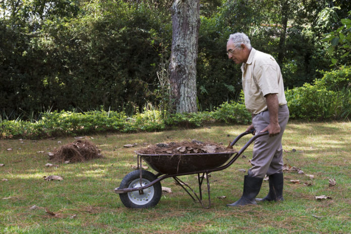 TEGmagazine's tweet photo. Discover the huge benefits gardening can have on your physical and mental wellbeing.        https://t.co/bNzk5jCxXX

#MondayMotivation #gardening https://t.co/T5PqujjVqm