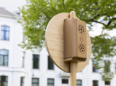 De Groene Mug tweet media