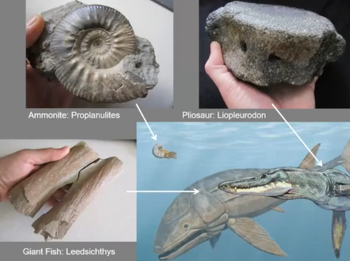 FestivalofInnovation tweet media