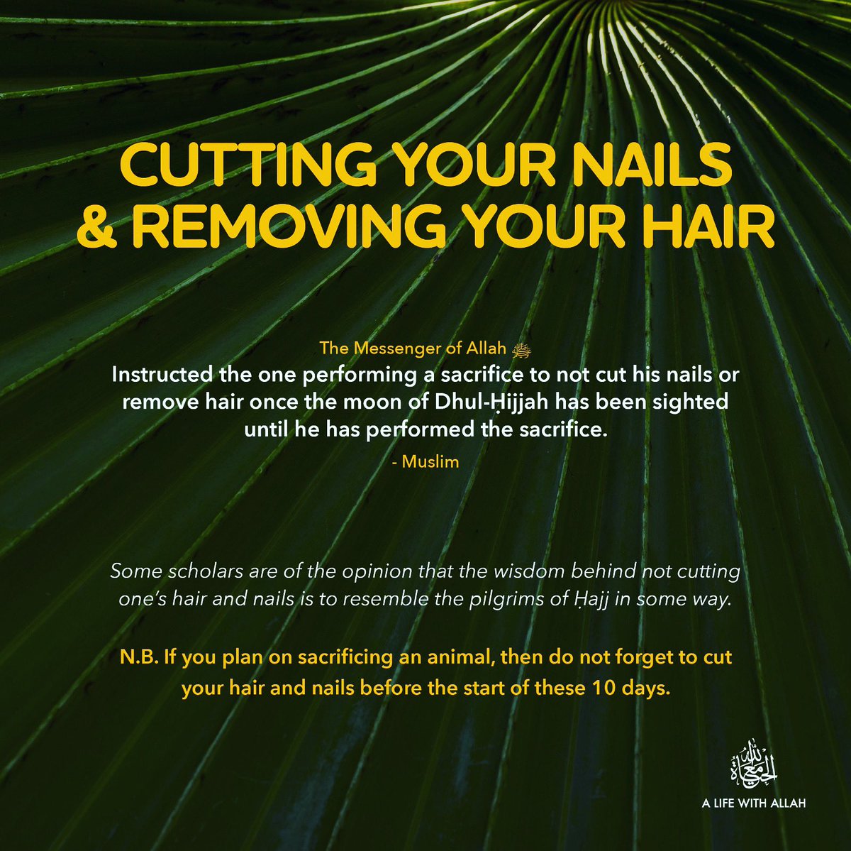 Top 35 + Can you remove hair before qurbani polarrunningexpeditions