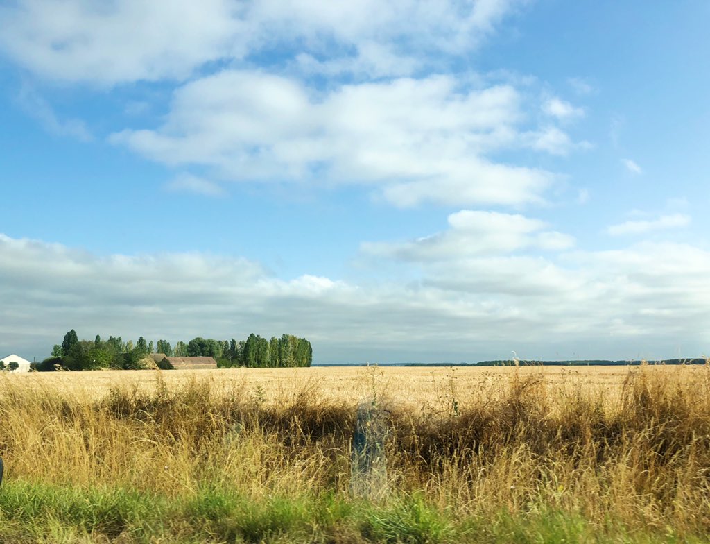 Alain Griset tweet media