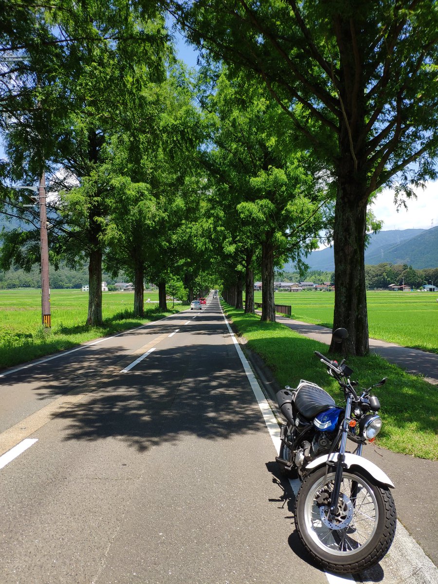 original7___'s tweet photo. 昨日のVanVan
#vanvan200
#suzuki
#motorcycle
#vanvanmfg
#バンバン200 https://t.co/Wj9UXACkSY