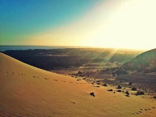 جبل الدكرور
يقع على بعد 3 كم جنوبي شرق واحة سيوة وهوا ليس فقط أحد المعالم الأثرية الفرعونية المهمة ب...