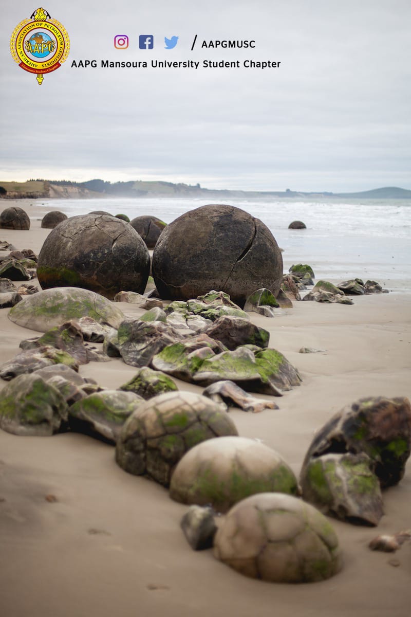 AAPGMUSC's tweet photo. مغامره جديده في عجائب الكون وهي صخور مويراكي (Moeraki boulders)، وبقايا أسطورة نيوزيلاندية🌎  
المشهد النهاردة (شاطئ مويراكي، الجزيرة الجنوبية، نيوزيلندا): صخور (boulders) شكلها كروي، أصلها غامض، بتتكون من طين (marine mudstones) جواه عروق كالسيت وكوارتز وشوية دولوميت
#AAPG_MUSC https://t.co/aQZKZ1nHHK