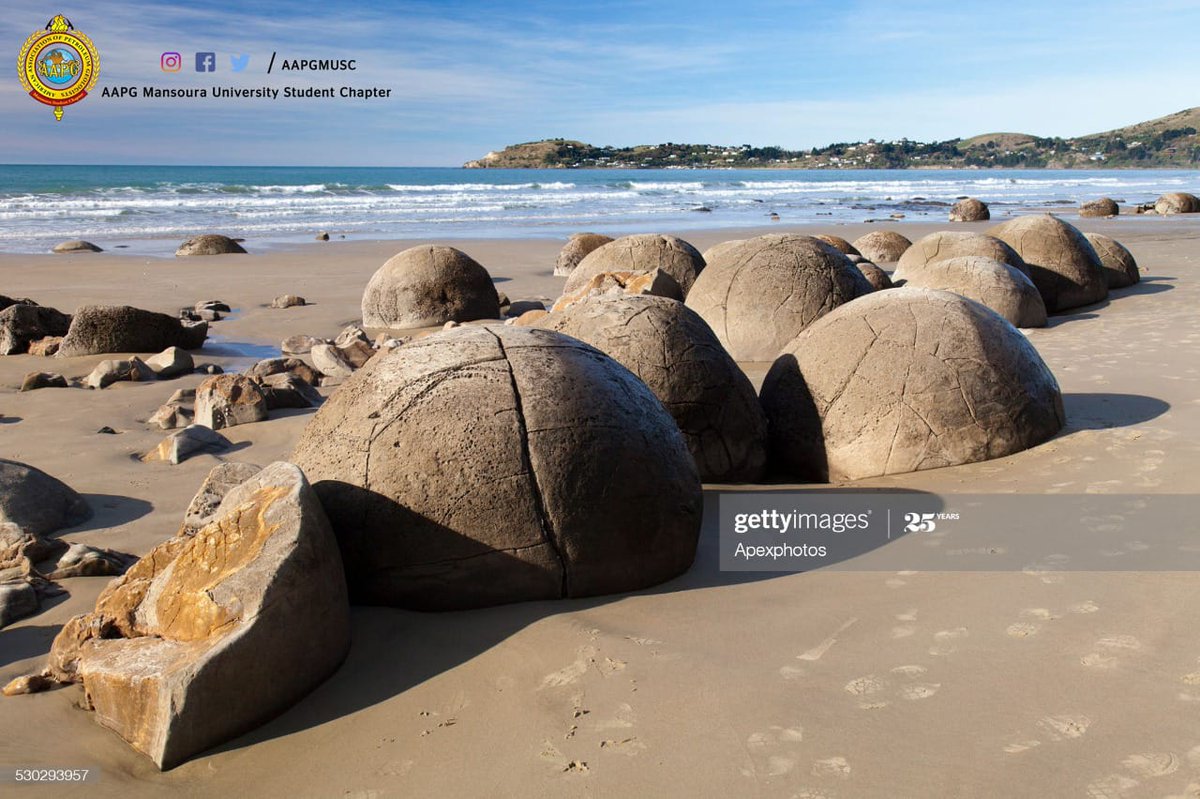 AAPGMUSC's tweet photo. مغامره جديده في عجائب الكون وهي صخور مويراكي (Moeraki boulders)، وبقايا أسطورة نيوزيلاندية🌎  
المشهد النهاردة (شاطئ مويراكي، الجزيرة الجنوبية، نيوزيلندا): صخور (boulders) شكلها كروي، أصلها غامض، بتتكون من طين (marine mudstones) جواه عروق كالسيت وكوارتز وشوية دولوميت
#AAPG_MUSC https://t.co/aQZKZ1nHHK