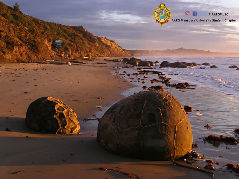 AAPGMUSC's tweet photo. مغامره جديده في عجائب الكون وهي صخور مويراكي (Moeraki boulders)، وبقايا أسطورة نيوزيلاندية🌎  
المشهد النهاردة (شاطئ مويراكي، الجزيرة الجنوبية، نيوزيلندا): صخور (boulders) شكلها كروي، أصلها غامض، بتتكون من طين (marine mudstones) جواه عروق كالسيت وكوارتز وشوية دولوميت
#AAPG_MUSC https://t.co/aQZKZ1nHHK