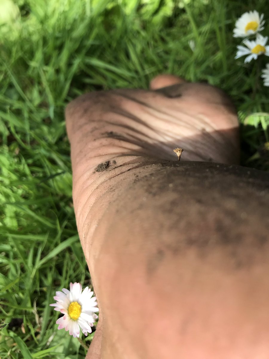 LouJeke's tweet photo. A thorn in the foot is worth two in the bush...
I’ll be streaming a live gig this Friday at 8pm on my Facebook page.
I’m getting twitchy without real gigs... https://t.co/ubGTuNxHtd