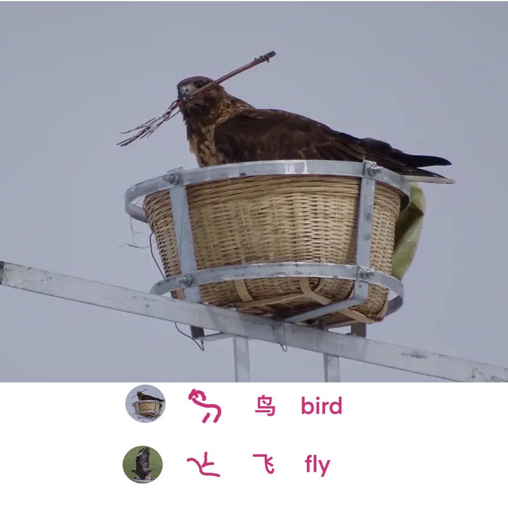 ChineseLearnFun tweet picture