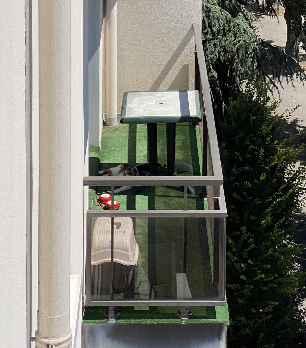 Putain de gens.. un chat bloqué sur un balcon sans eau, en pleine canicule, il miaule. Ça me fend le cœur. Occupant absent quand je sonne, les pompiers vont venir et j’espère qu’ils vont bien te defoncer ta porte... Gros fils dejdjejejejdj