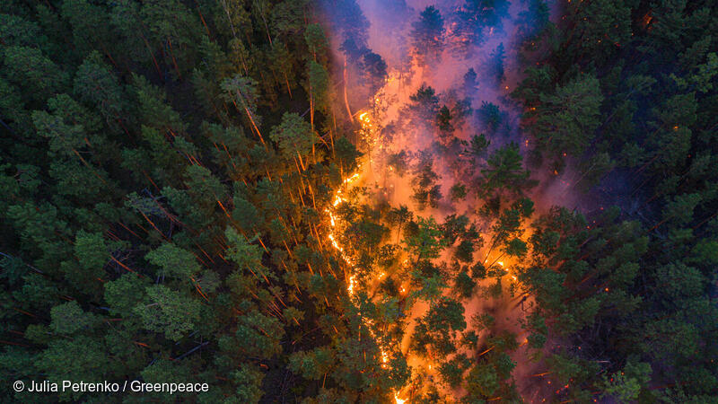 Greenpeace's tweet photo. .@greenpeaceru have just captured these tragic images of #Siberia's raging forest fires. 

The total area burnt by #wildfires in Russia in 2020 has reached 19M has – an area bigger than Greece. 

More: https://t.co/7XS5Pz0pJB

#ClimateEmergency #ForestsAreLife https://t.co/TtmsDshH65